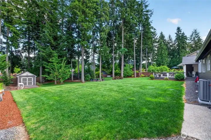 Park-like backyard showcases mature trees, lush landscaping, and exceptional privacy rarely found in neighborhood settings.