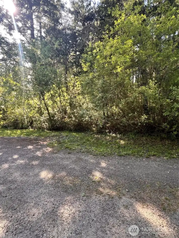 Looking into lot