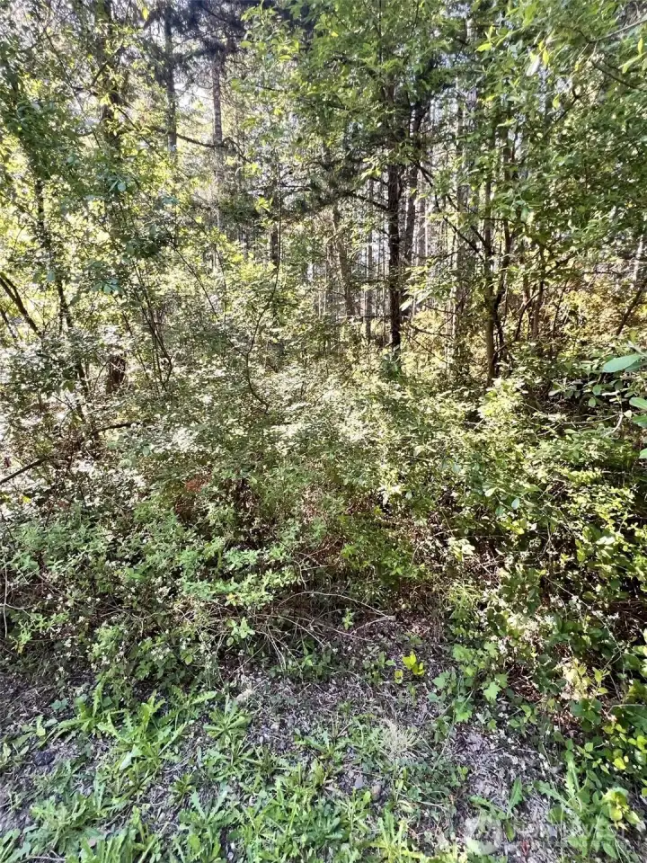 Looks to be level