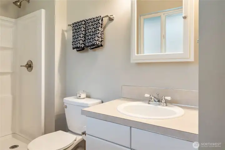 Primary ensuite with new features - new walk-in shower.