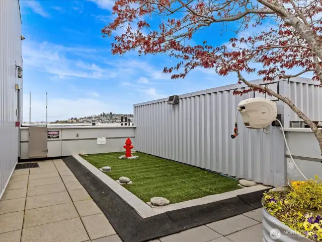 The pet station is just one floor up from this penthouse. So convenient for those with dogs