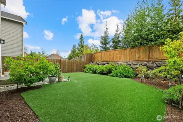 Back Yard