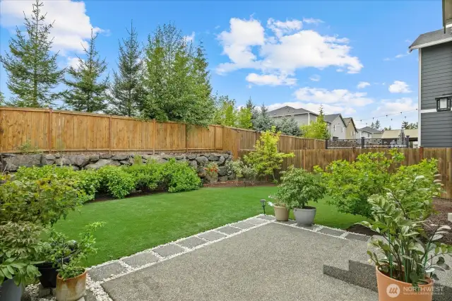 Back Yard