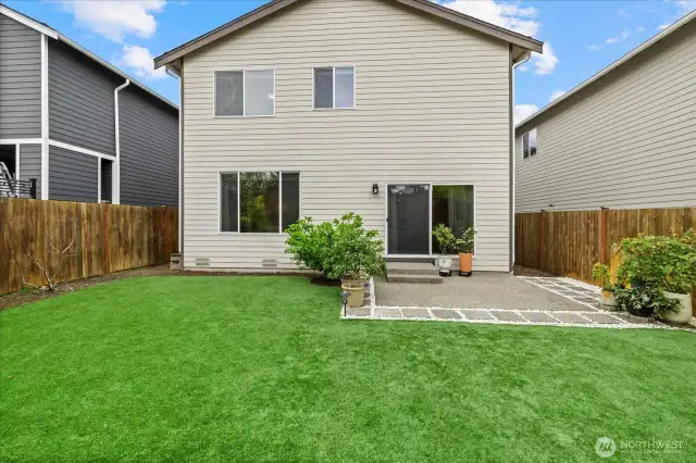 Back Yard