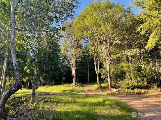 The property has been cleared and ready for immediate use. RV / camp now while you design your next home in the woods !  Just steps away from the shared lake access for easy fishing and boating.