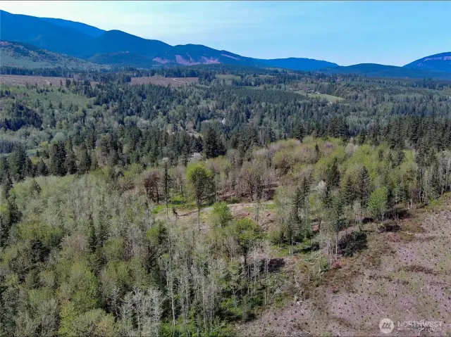 View of the E property line facing NNW