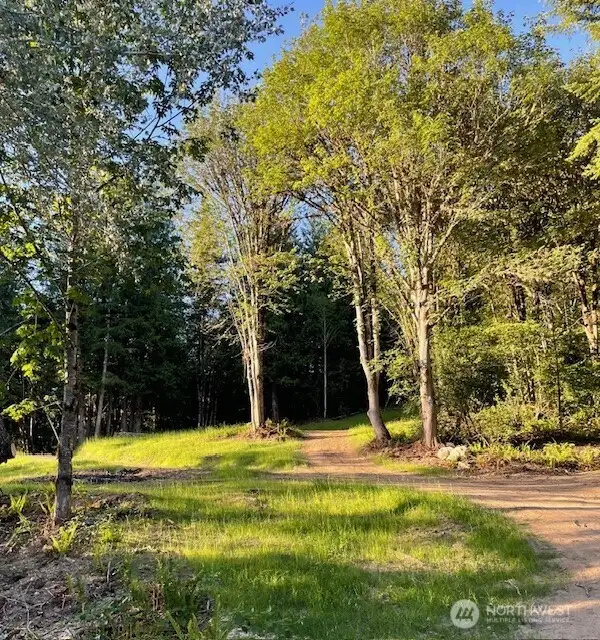 Established roads to several homesites.