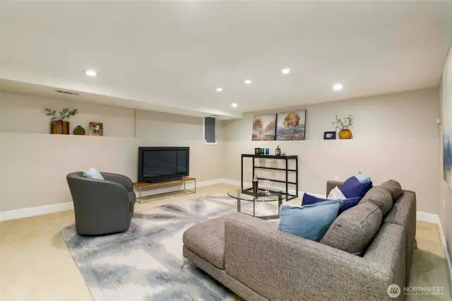 Lower Level Family Room