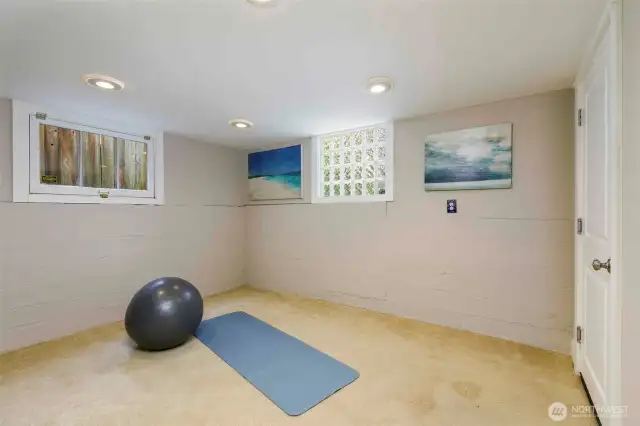Lower Level Bonus Room