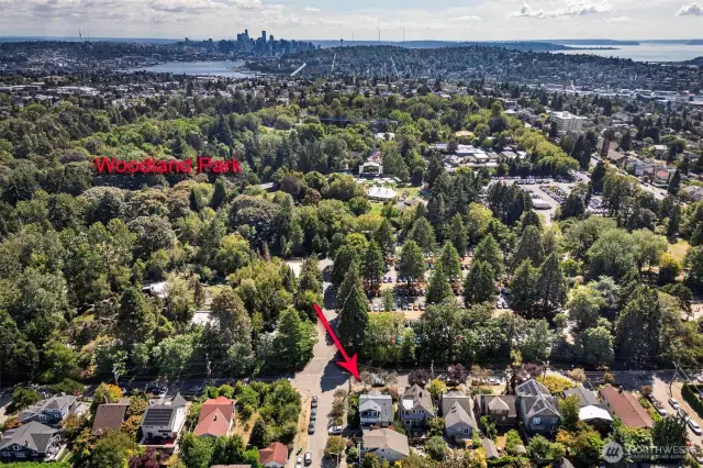 Walk to Woodland Park Zoo.