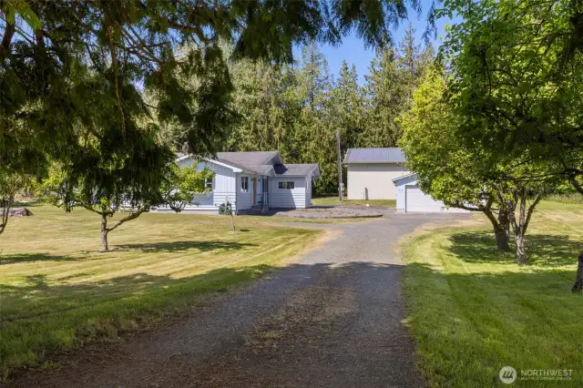 Inviting driveway onto the property between two old growth cedar trees.