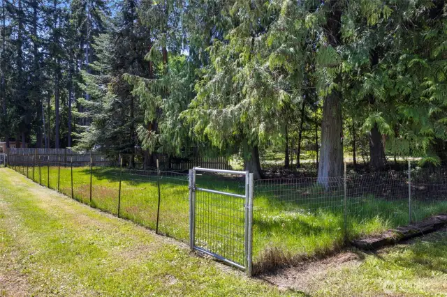 Dog run