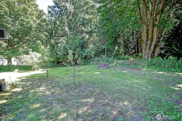 Beautiful backyard, surrounded by mature trees and nature!