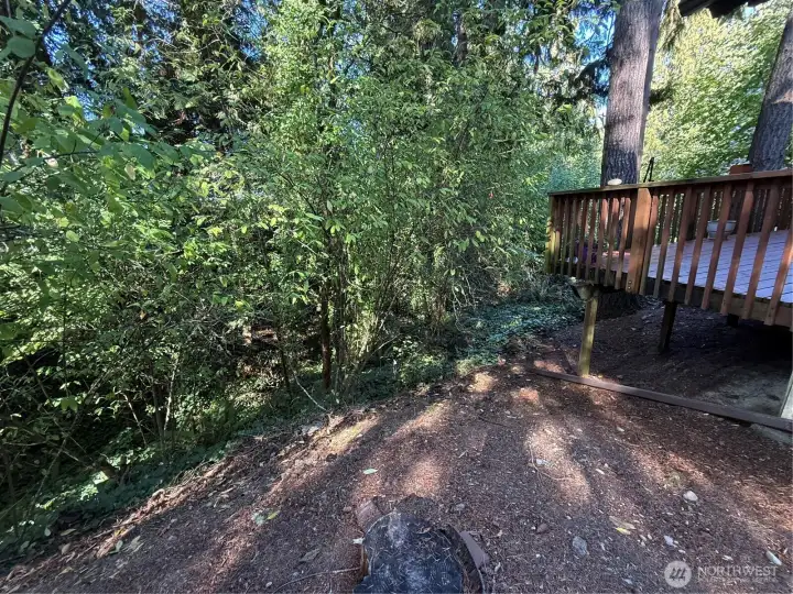 Private forest