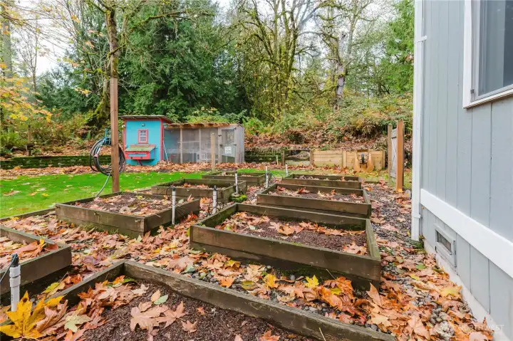 Raised garden beds.