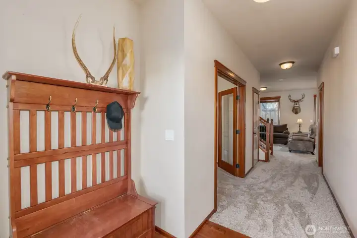 Grand entry!  New carpet.