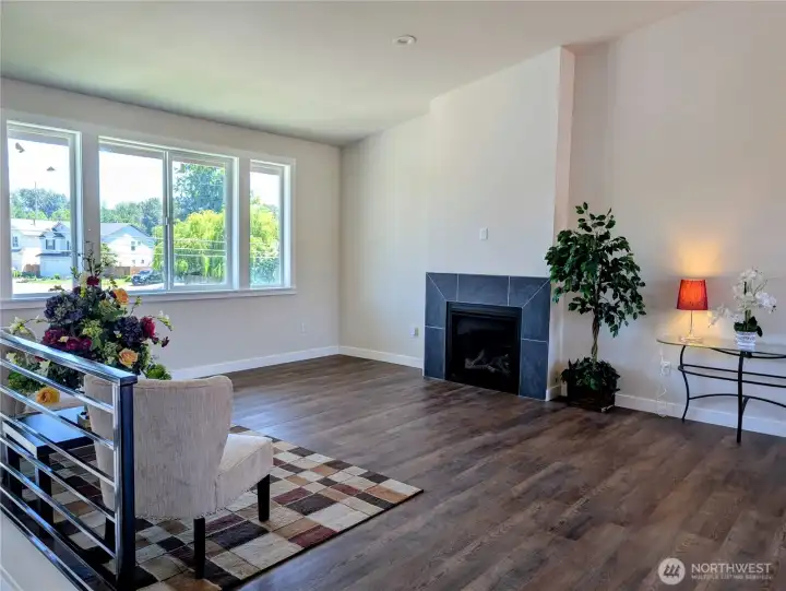 Gas fireplace.