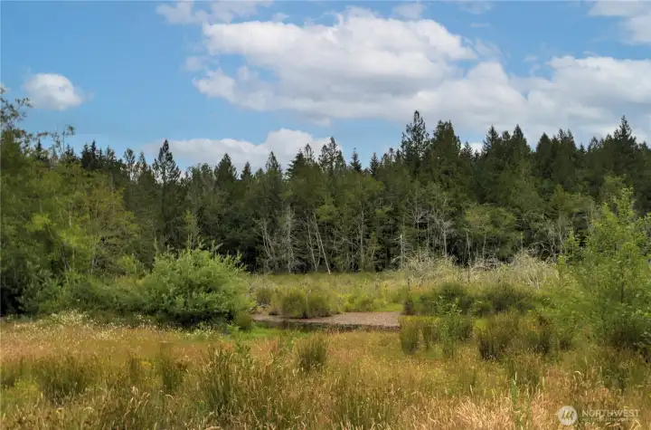 year 'round pond with runoff creek meandering through property