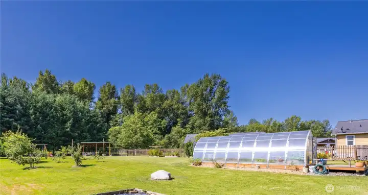 Sungrow 26 Greenhouse in the background with 11 fruit trees. Sungrow 26 Greenhouse in the background with 11 fruit trees.