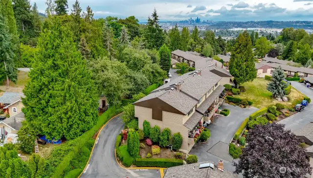 Look out to the Seattle Skyline from the community walking paths.