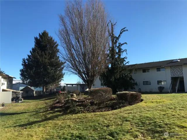 Looking out your back patio