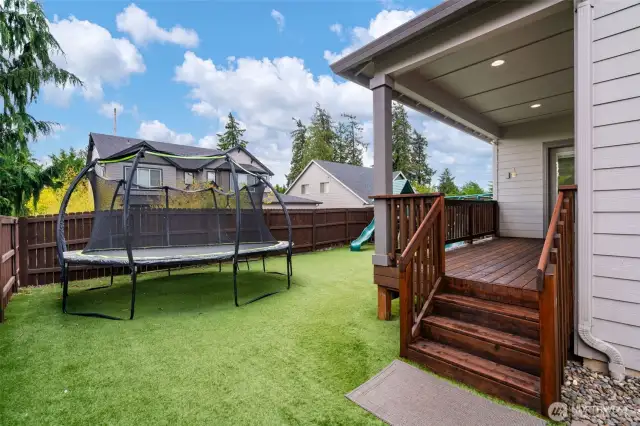 back yard, turf for lasting color all year long