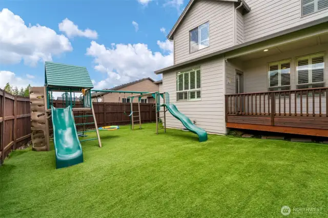 back yard