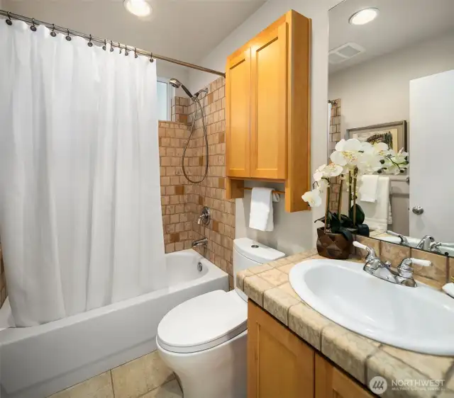 Lower level full bathroom