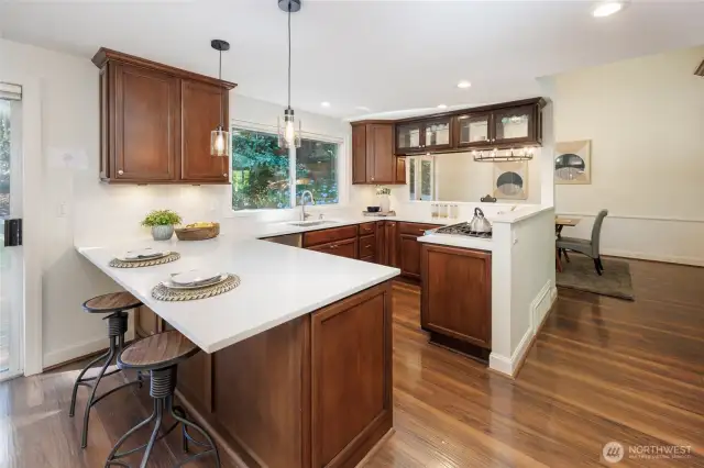 New Quartz Counters & New Backsplash