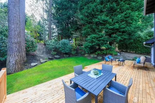 Huge Entertaining Patio