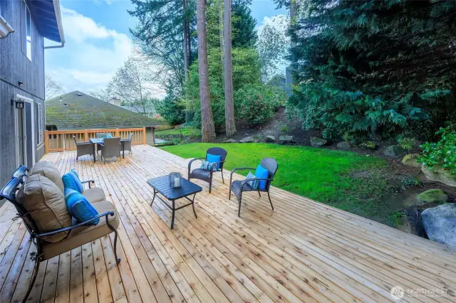 Huge Entertaining Patio
