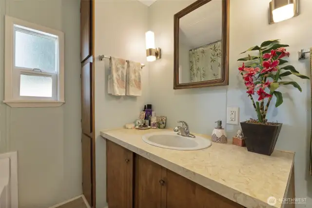 Full bath with extra storage, frosted window for privacy, medicine cabinet and updated lighting