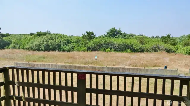 West view from the Deck.
