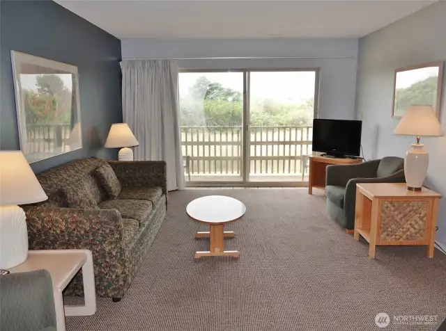 Comfortable Living Room.