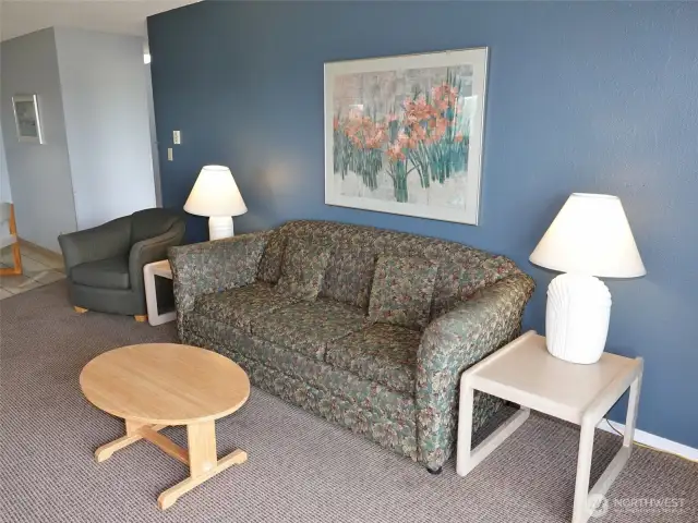 Hide-a-bed couch.