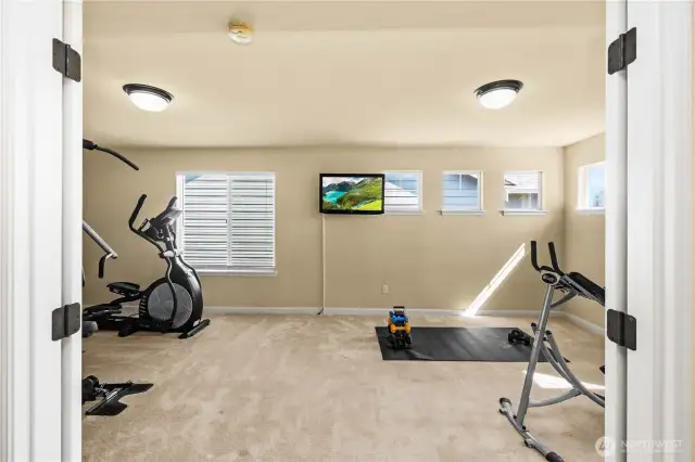 Expansive Bonus Room