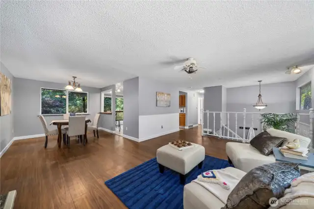Large open and bright living room and family room
