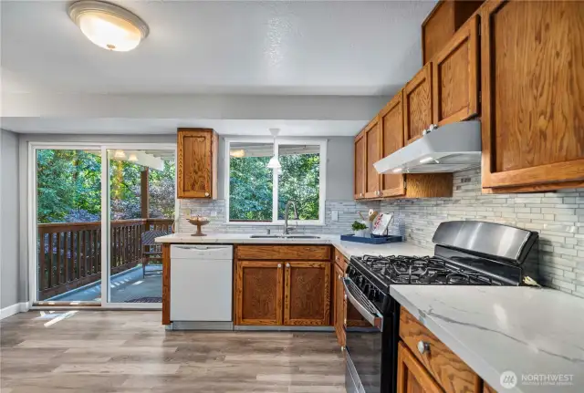 Updated kitchen with light and bright windows