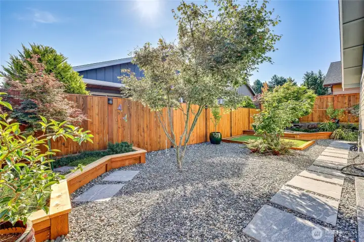 Low maintenance back yard