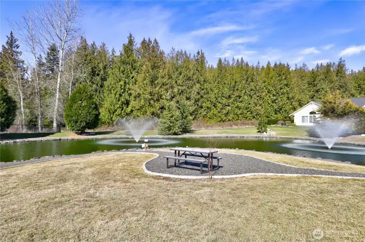 Pond