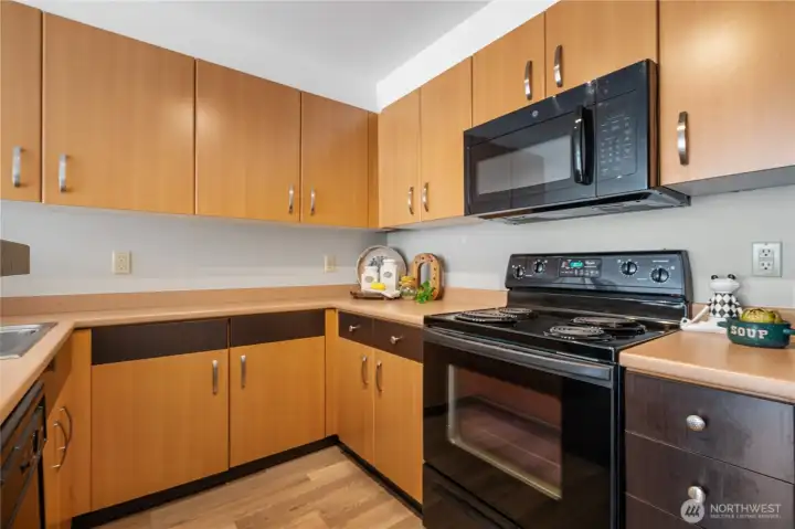 Equipped with stylish black appliances