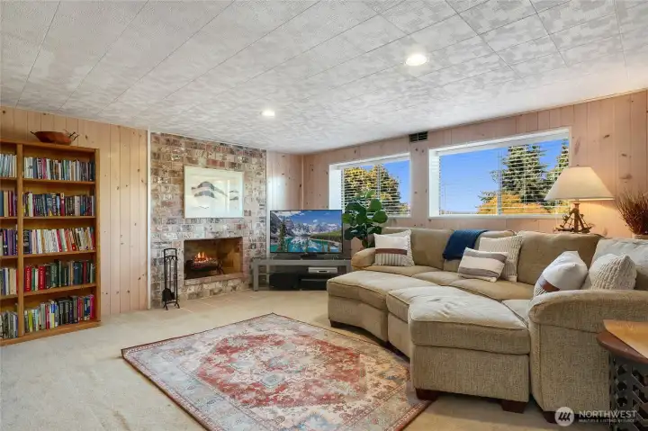 Lower level Family Room