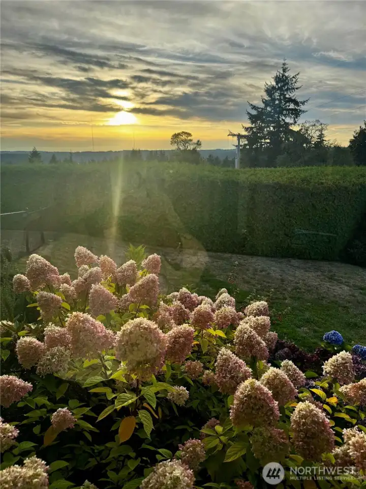 Western sunset sky!