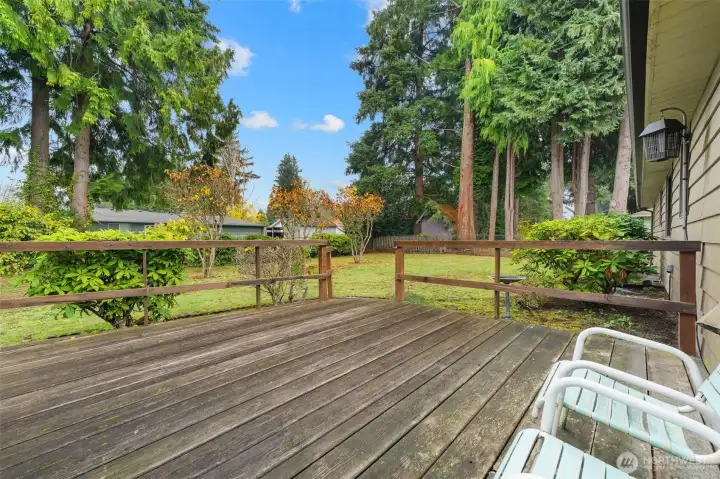 Large back deck