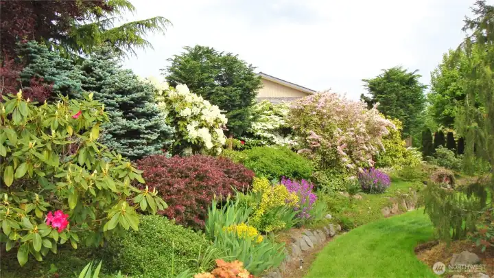 The yard is rich with natural beauty.