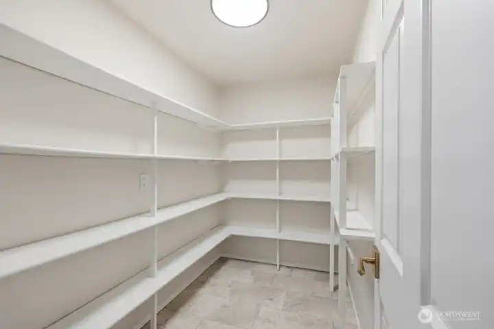 Humongous DREAM SIZED walk-in pantry!