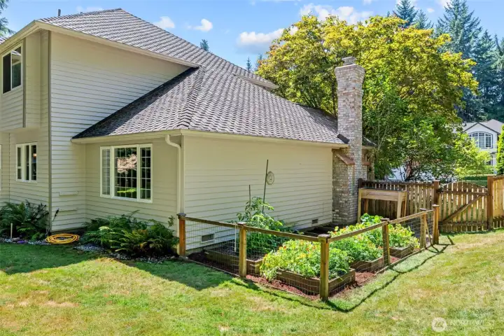Organic vegetable garden.