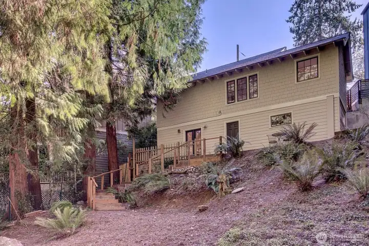View of the back of the house looking up from the creek.