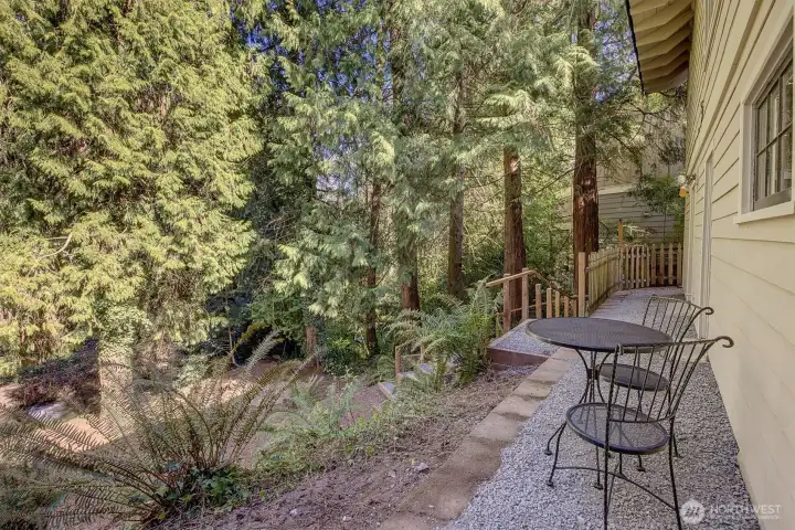 Tree-lined oasis with the relaxing sound of Thornton creek - perfect spot for morning coffee.