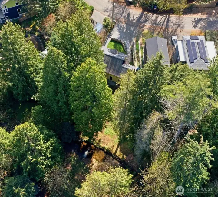 Eagle's view of the backyard and Thornton Creek.